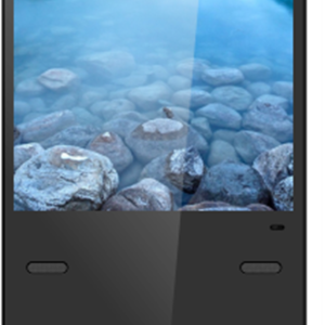 DG03-A1F43 Standing Digital Signage 43"
